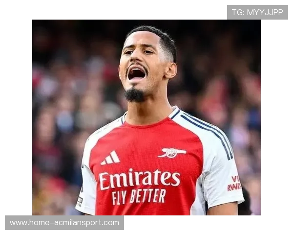 阿森纳后防稳定性为夺冠奠基