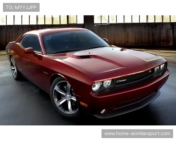 这画面太美！道奇MVP大嫂团合照引热议大谷爱妻甜美笑容吸睛，道奇dakota