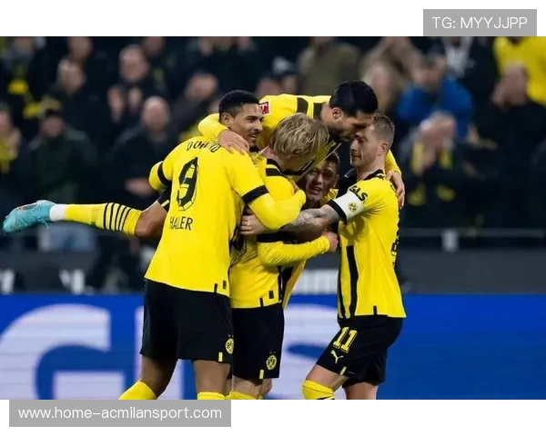 多特的年轻阵容拥有无限市场价值 多特的年轻阵容拥有无限市场价值