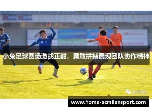 小兔足球赛场激战正酣，勇敢拼搏展现团队协作精神