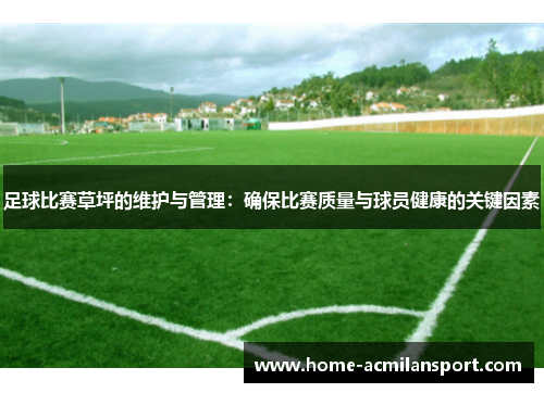 足球比赛草坪的维护与管理：确保比赛质量与球员健康的关键因素