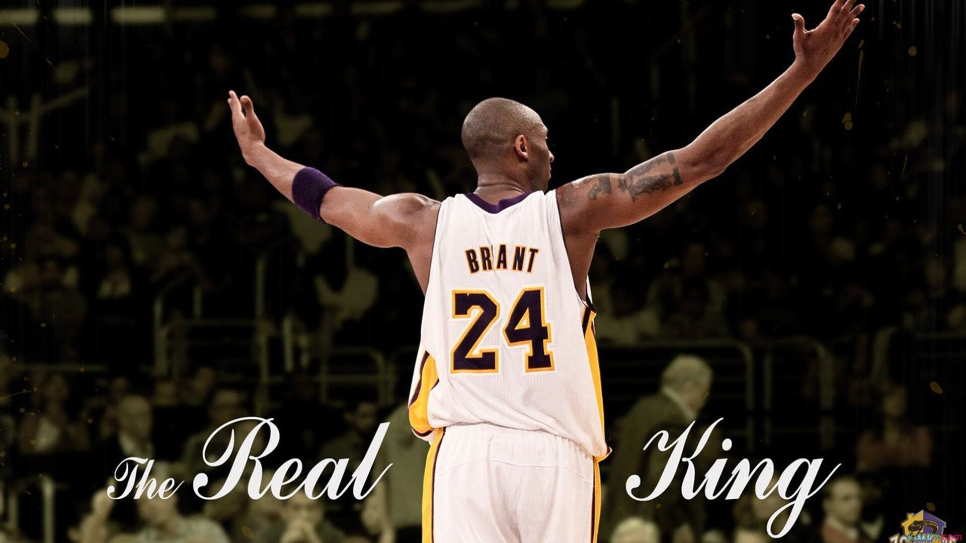 全球球迷：看世界杯还是世俱杯？不同偏好各有精彩，世界杯赛是足球的顶级赛事